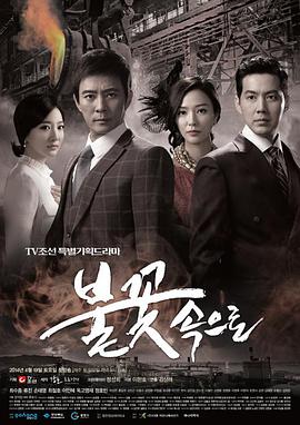 论坛优化网站排行榜