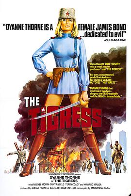 优化自己网站的代码